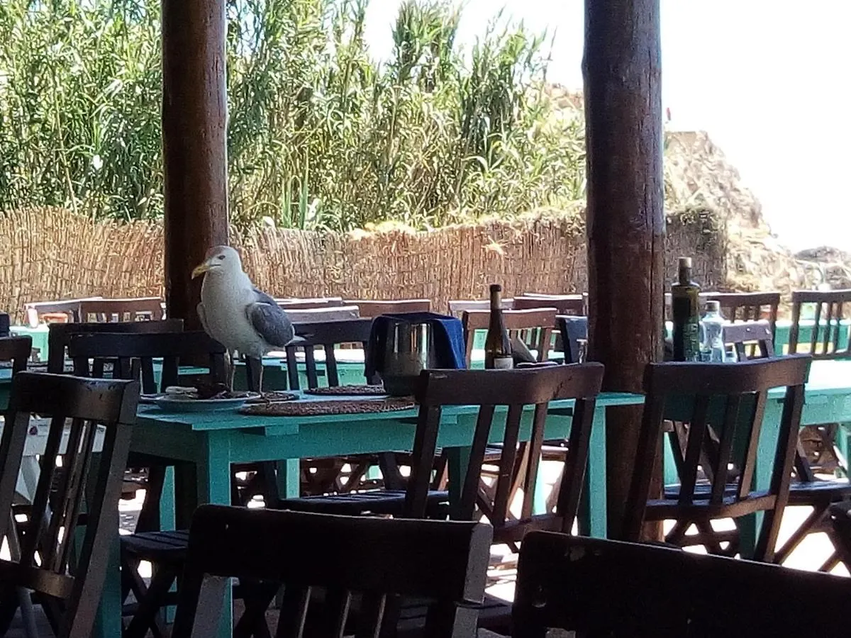알보르 Casa Do Mar Prainha 빌라