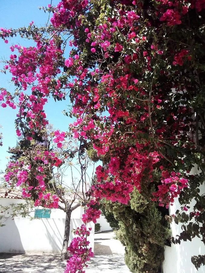 Holiday home Casa Do Mar Prainha Villa Alvor